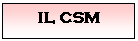 Text Box: IL CSM
