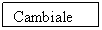 Text Box: Cambiale