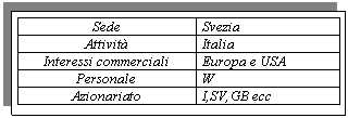Text Box: Sede Svezia
Attivit Italia
Interessi commerciali Europa e USA
Personale W
Azionariato I,SV,GB ecc

