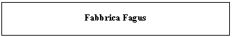Text Box: Fabbrica Fagus