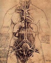 Anatomia femminile, Windsor, Raccolte Reali