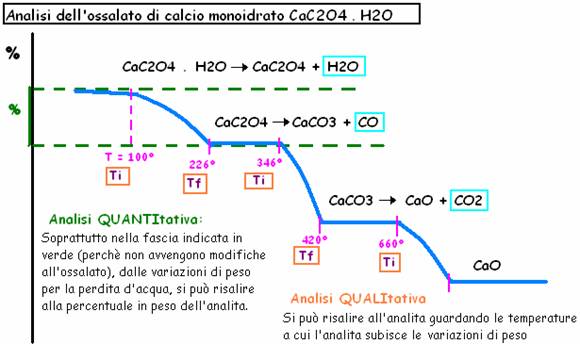 termogramma ossalato.bmp