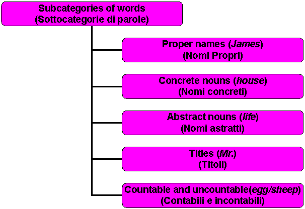 Organization Chart