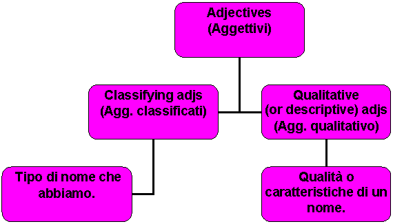 Organization Chart