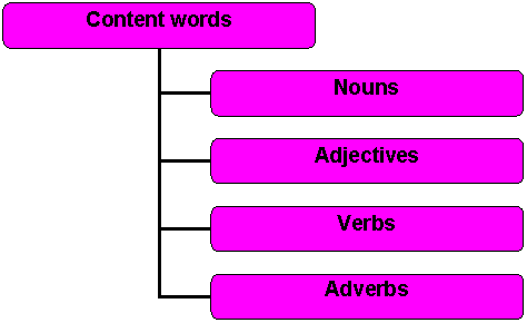 Organization Chart