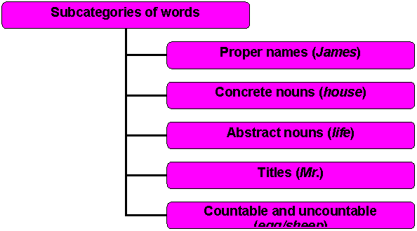 Organization Chart