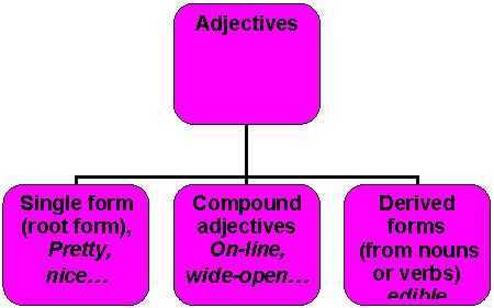 Organization Chart