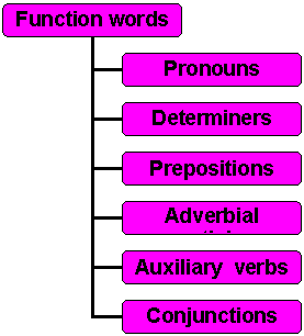 Organization Chart