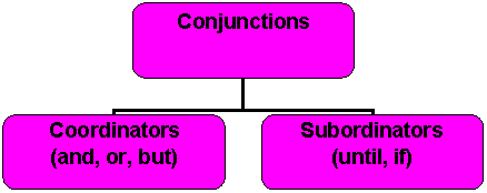 Organization Chart