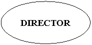 Oval: DIRECTOR
