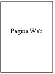 Text Box: Pagina Web
