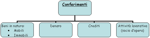 Organization Chart