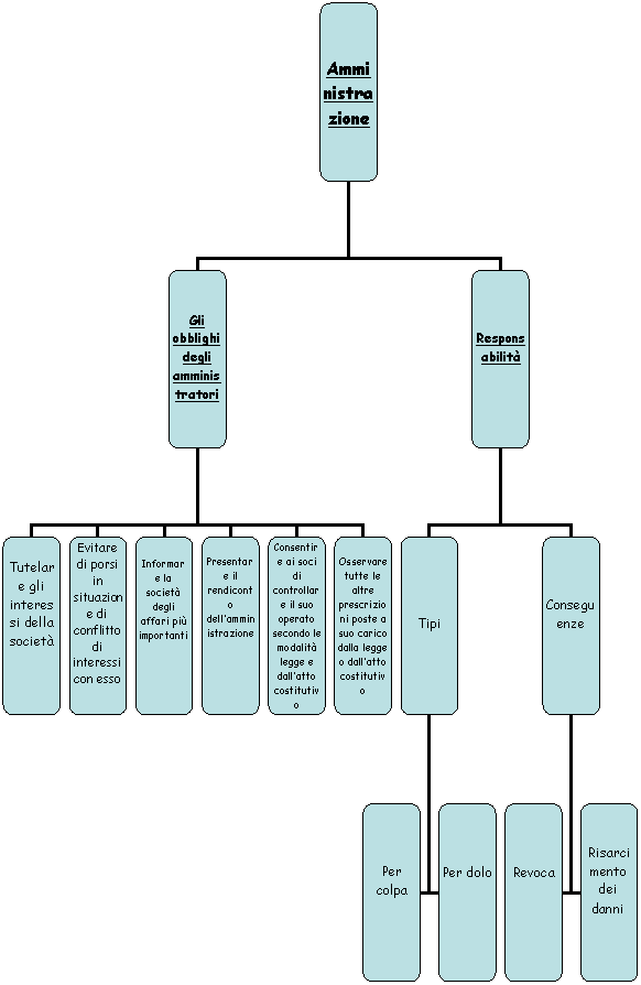 Organization Chart