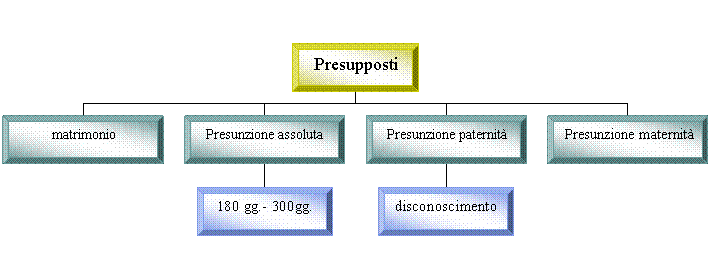 Organization Chart