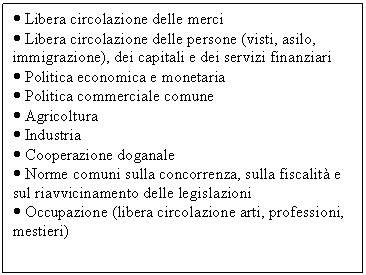 Text Box:  Libera circolazione delle merci
 Libera circolazione delle persone (visti, asilo, immigrazione), dei capitali e dei servizi finanziari
 Politica economica e monetaria
 Politica commerciale comune
 Agricoltura 
 Industria 
 Cooperazione doganale
 Norme comuni sulla concorrenza, sulla fiscalit e sul riavvicinamento delle legislazioni
 Occupazione (libera circolazione arti, professioni, mestieri)

