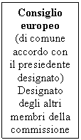 Text Box: Consiglio europeo
(di comune accordo con il presiedente designato) Designato degli altri membri della commissione
