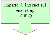 Down Arrow Callout: impatto di Internet sul marketing
(CAP II)
