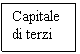 Text Box: Capitale di terzi