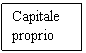 Text Box: Capitale
proprio
