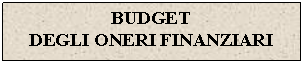 Text Box: BUDGET 
DEGLI ONERI FINANZIARI

