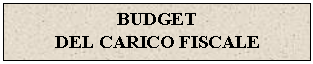 Text Box: BUDGET
DEL CARICO FISCALE
