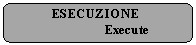 Rounded Rectangle: ESECUZIONE
		 Execute
