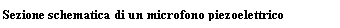 Text Box: Sezione schematica di un microfono piezoelettrico
