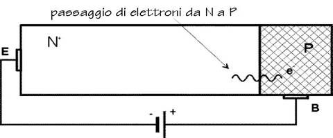 image1.jpg