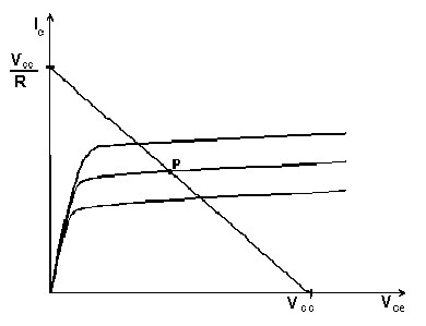 image11.jpg