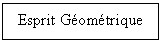 Text Box: Esprit Gomtrique