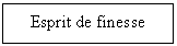 Text Box: Esprit de finesse