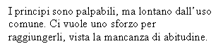 Text Box: I principi sono palpabili, ma lontano dall'uso comune. Ci vuole uno sforzo per raggiungerli, vista la mancanza di abitudine. 

