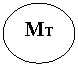 Oval: MT     