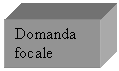 Text Box: Domanda focale