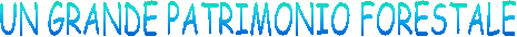UN GRANDE PATRIMONIO FORESTALE