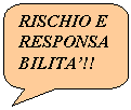 Rounded Rectangular Callout: RISCHIO E RESPONSABILITA'!!