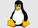 Pinguino Tux, simbolo di Linux