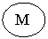 Oval: M