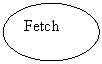 Oval: Fetch