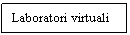 Text Box: Laboratori virtuali