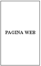 Text Box: PAGINA WEB
