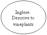 Oval: Inglese:
Descrive to vineplants
