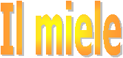 Il miele