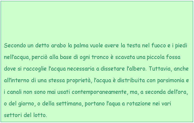 Text Box: Secondo un detto arabo la palma vuole avere la testa nel fuoco e i piedi nell'acqua, perci alla base di ogni tronco  scavata una piccola fossa dove si raccoglie l'acqua necessaria a dissetare l'albero. Tuttavia, anche all'interno di una stessa propriet, l'acqua  distribuita con parsimonia e i canali non sono mai usati contemporaneamente, ma, a seconda dell'ora, o del giorno, o della settimana, portano l'aqua a rotazione nei vari settori del lotto.
