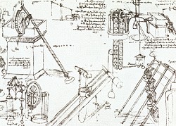 coclea_d_sm.jpg (25620 byte)