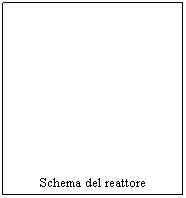 Text Box: Schema del reattore
