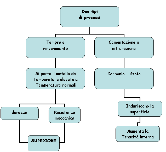 Organization Chart