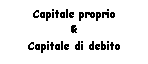 Text Box: Capitale proprio 
&
Capitale di debito 
