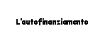 Text Box: L'autofinanziamento 
