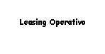 Text Box: Leasing Operativo  
